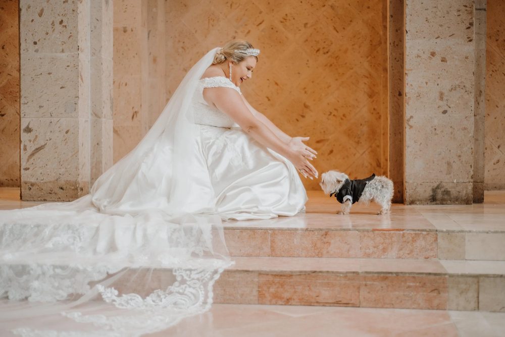 Weddings with Pets